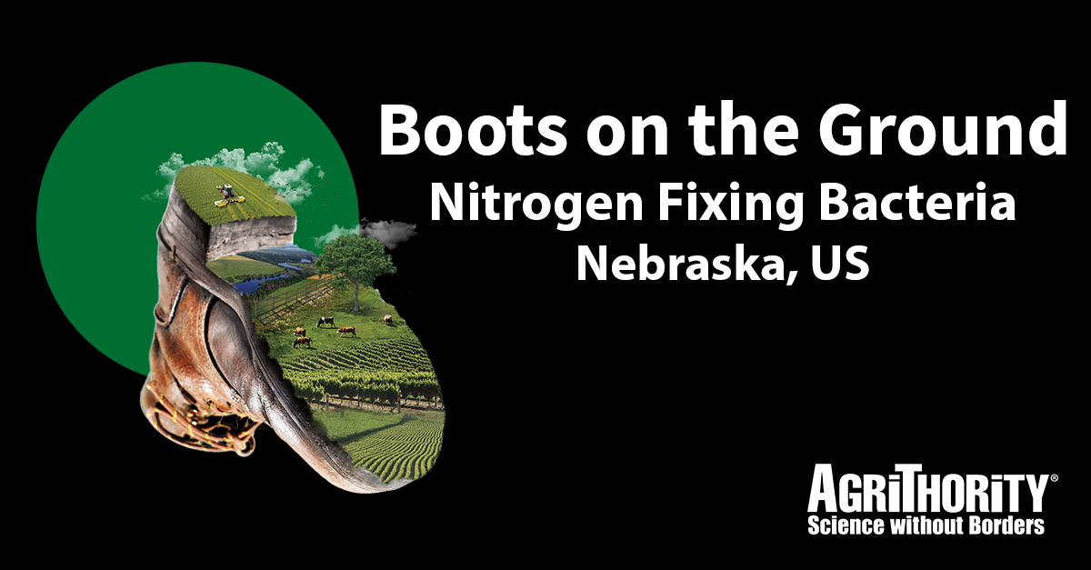 Boots on the Ground: Nitrogen Fixing Bacteria