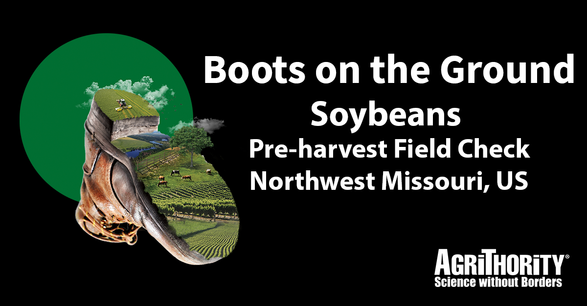Soybeans: Pre-Harvest Field Check: Vlad da Costa, Ph.D.