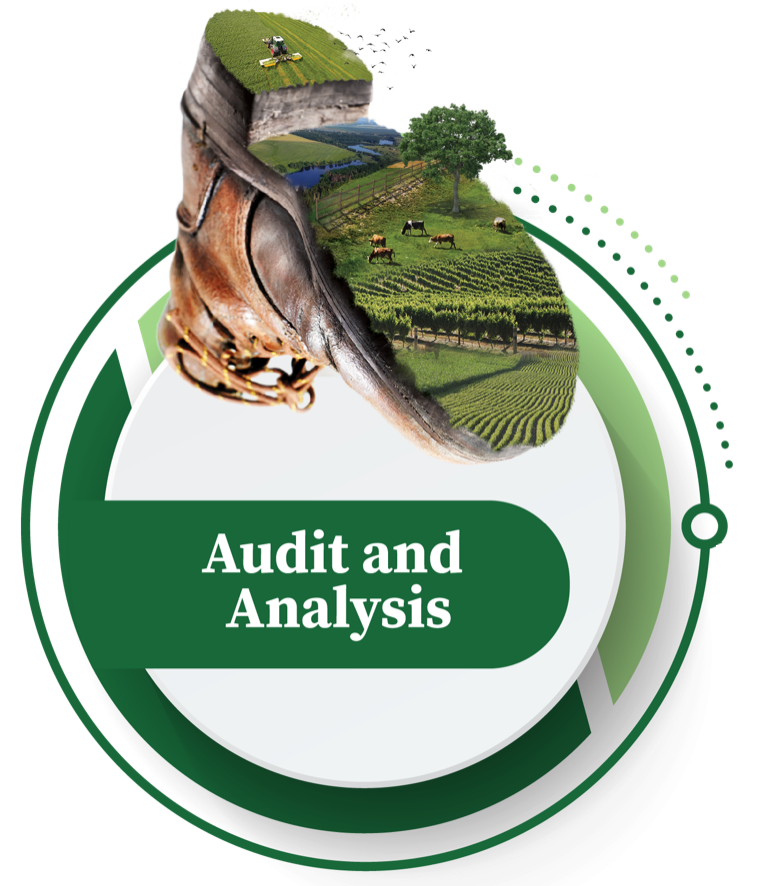 Audit and Analysis