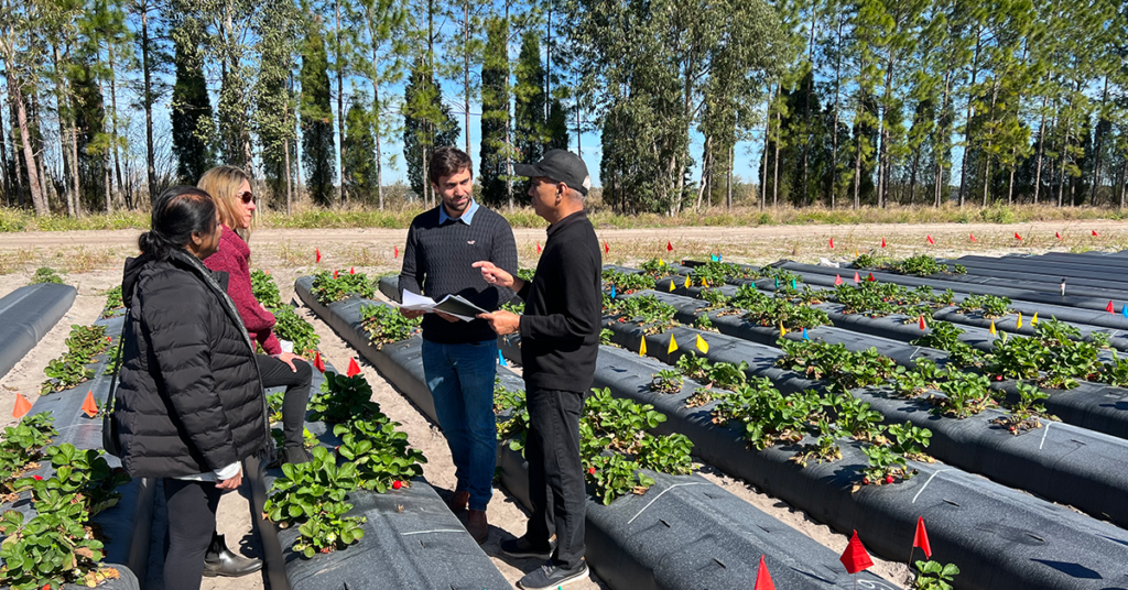 University of Florida Gulf Coast Research and Education Center (GCREC) in Wimauma, Florida