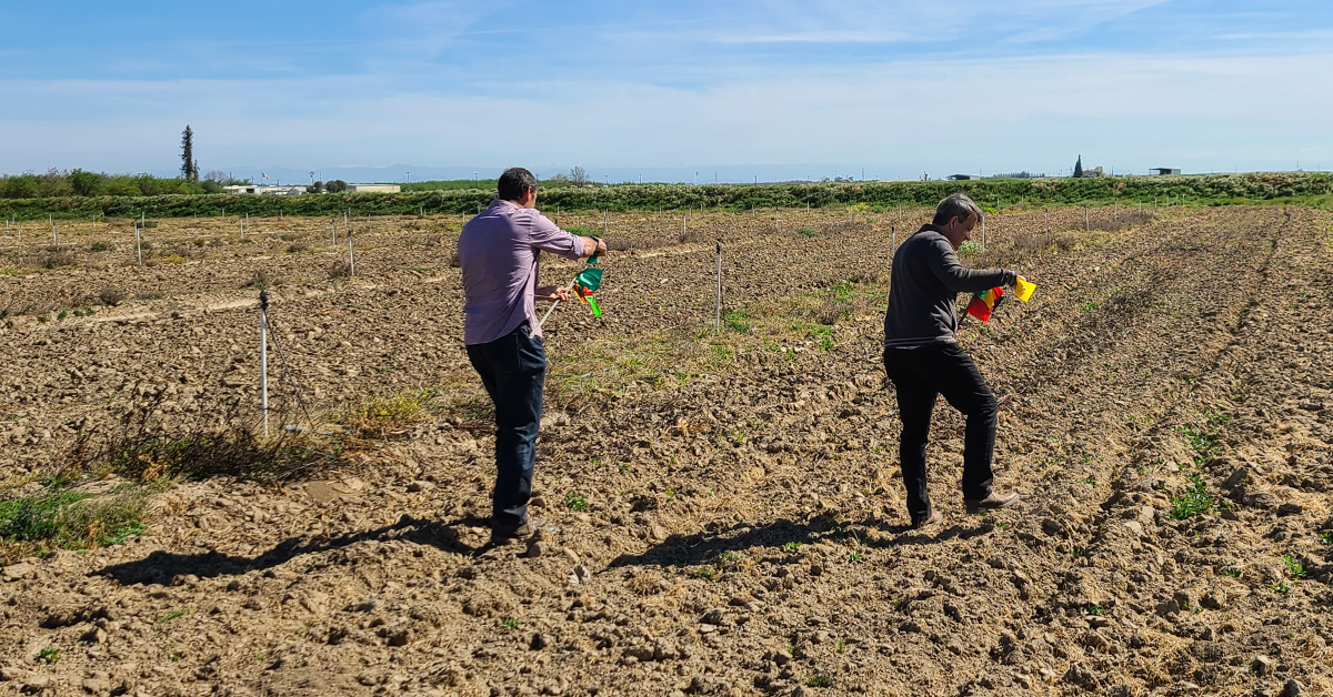 Dr. Gloverson Moro and Ignacio Colonna walk a potential plot in Hickman, Calif. Site selection and protocol designs are a major focus for every small and large plot trial AgriThority conducts.