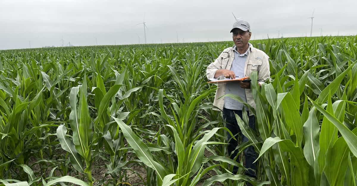 Krishan Jindal, Ph.D. standing in a field in Indiana analyzing an Evoia biostimulant trial.