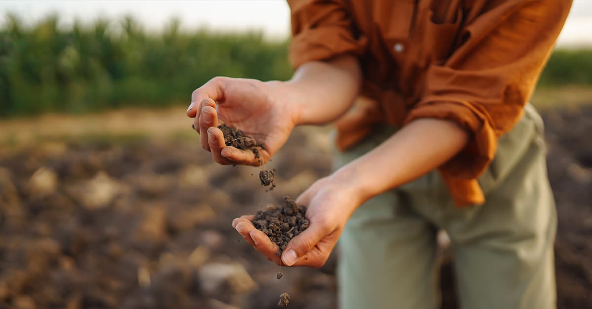 Woman holding soil in her hands.