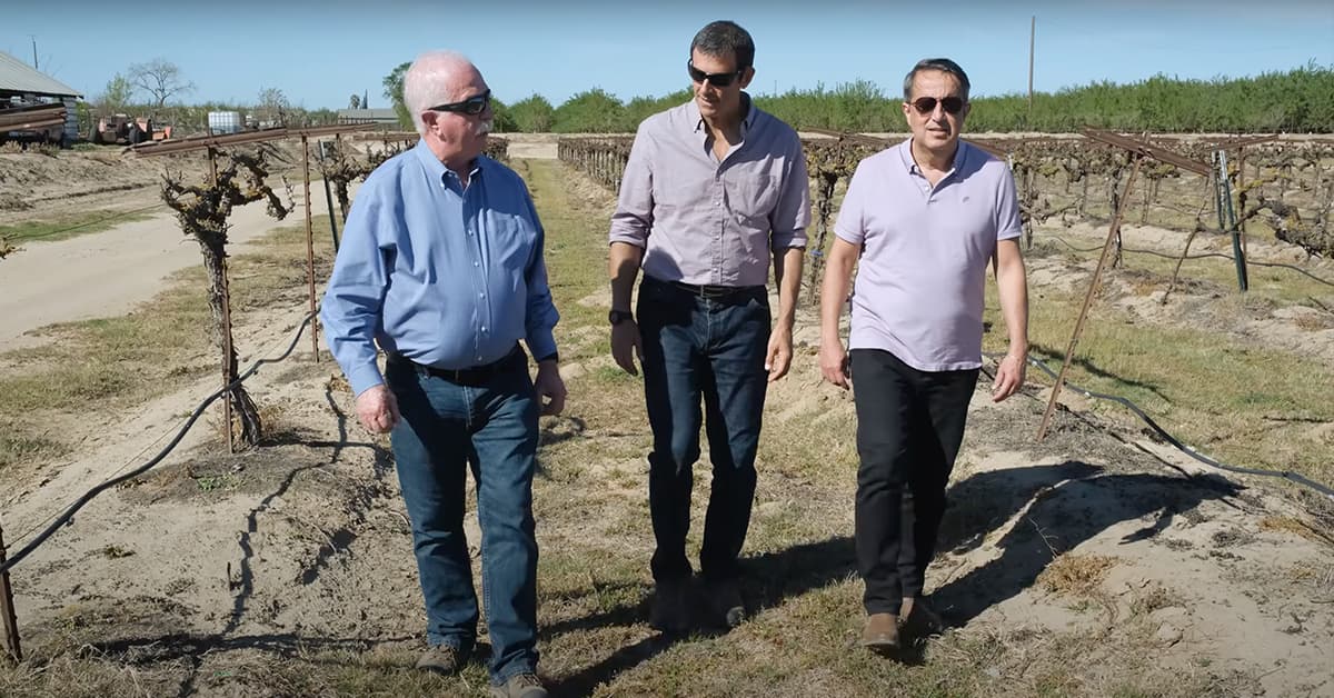 AgriThority® leaders Jerry Duff, Ignacio Colonna and Gloverson Moro, Ph.D. walking through a field of crops.