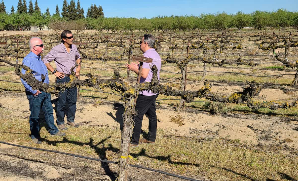Jerry Duff, Ignacio Colonna and Gloverson Moro, Ph.D., discussing best management practices for regenerative agriculture while standing in a field at a farm in Northern California.