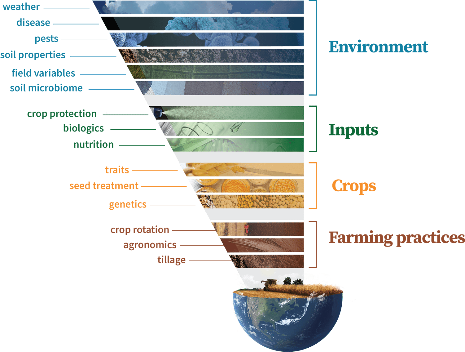 TrialWerx funnel graphic