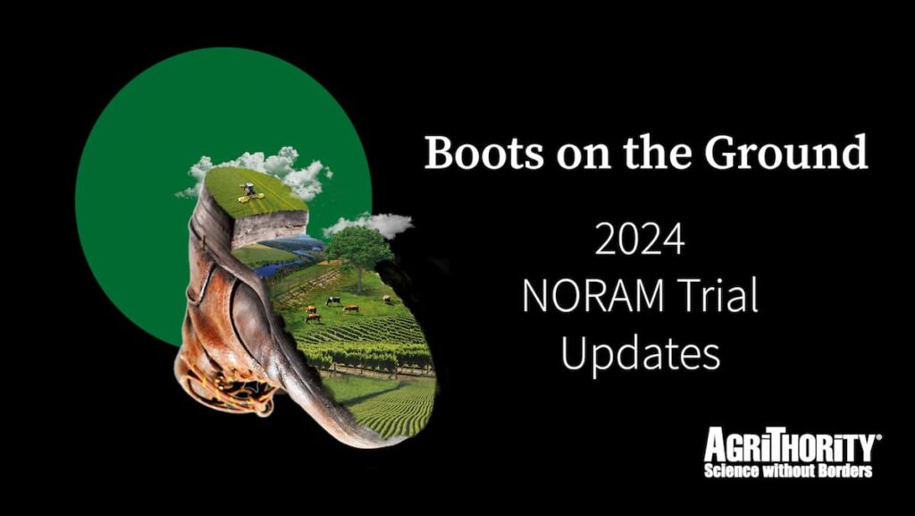 "Boots on the Ground: 2024 NORAM Trial Updates" article thumbnail