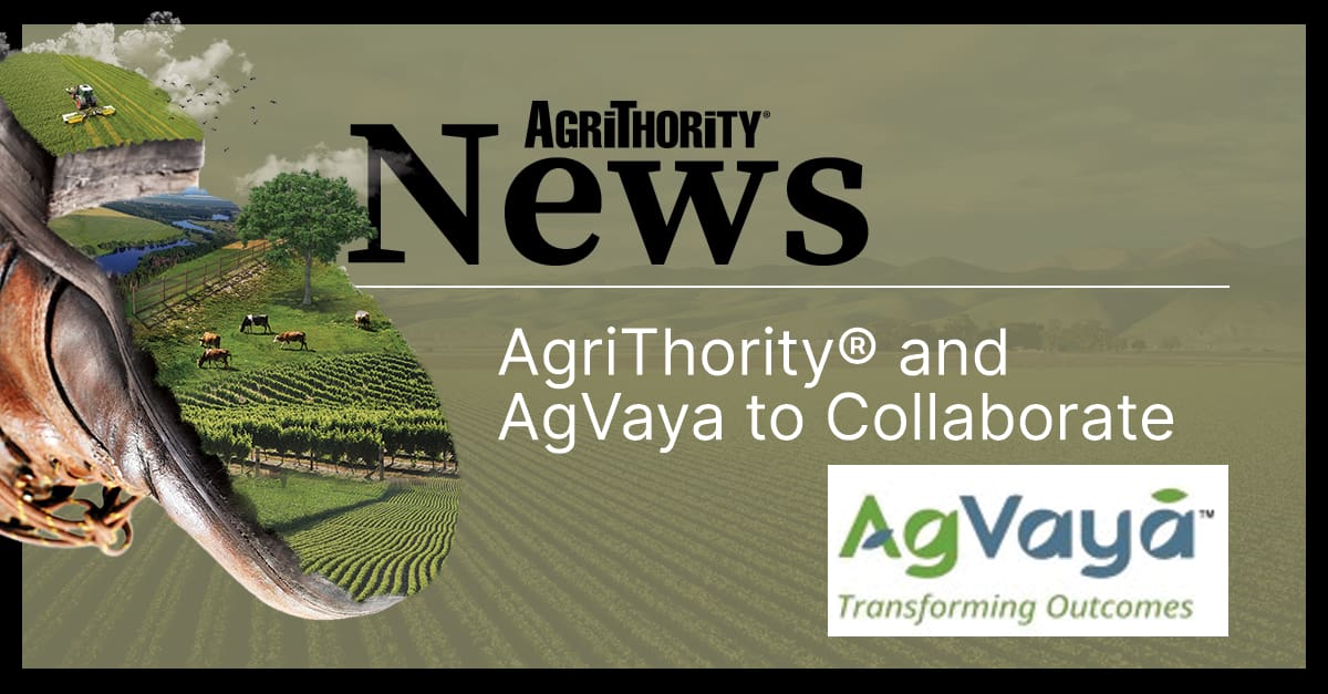 A promotional image from AgriThority® News announcing a collaboration between AgriThority® and AgVayā. The image features a stylized landscape with fields, a tractor, cows, and a tree, overlaid with the text "AgriThority® and AgVayā to Collaborate." The AgriThority® logo is at the top, and the AgVayā logo with the tagline "Transforming Outcomes" is at the bottom right.