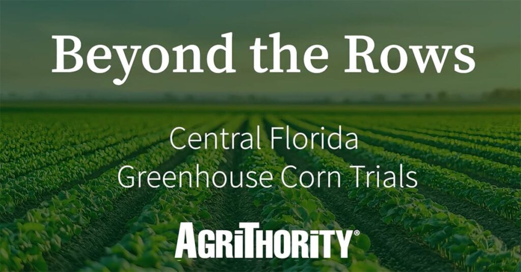 A promotional image from AgriThority® titled "Beyond the Rows," featuring a lush green cornfield in Central Florida. The text "Central Florida Greenhouse Corn Trials" is prominently displayed, with the AgriThority® logo at the bottom.