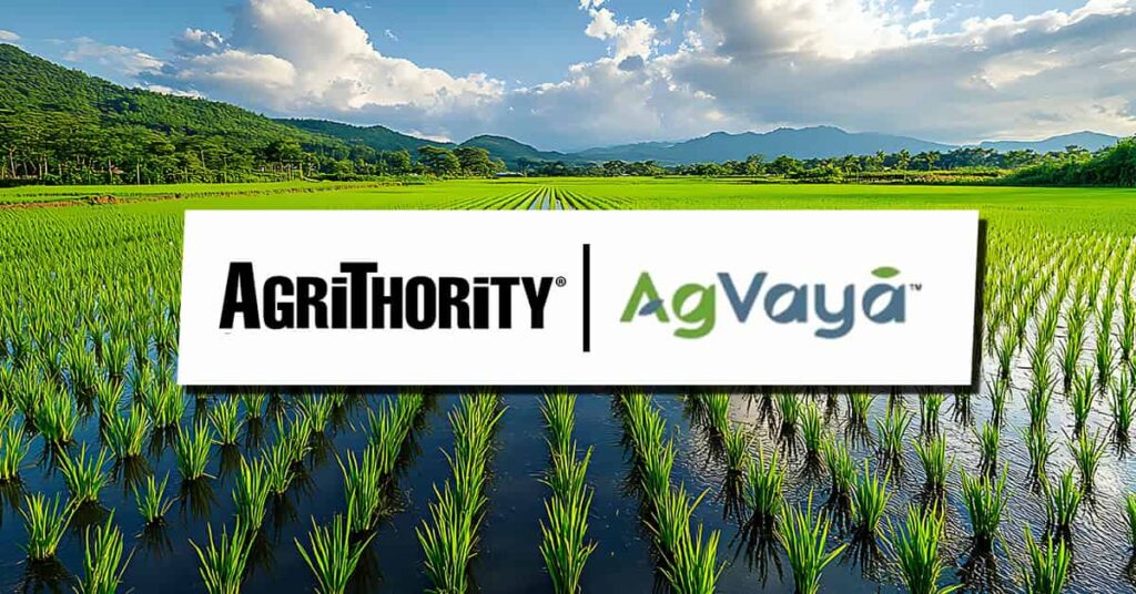 A scenic landscape photograph showing lush green rice paddies with young rice plants growing in flooded fields. Rolling hills and mountains are visible in the background under a partly cloudy blue sky. Overlaid on the image is a white rectangular banner containing two company logos: "AGRITHORITY" in black text on the left, and "AgVaya" in green and blue text on the right, separated by a vertical black line.