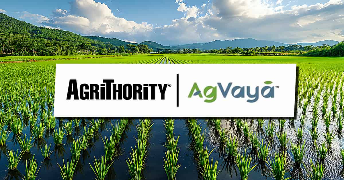 A scenic landscape photograph showing lush green rice paddies with young rice plants growing in flooded fields. Rolling hills and mountains are visible in the background under a partly cloudy blue sky. Overlaid on the image is a white rectangular banner containing two company logos: "AGRITHORITY" in black text on the left, and "AgVaya" in green and blue text on the right, separated by a vertical black line.