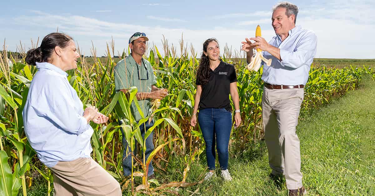 A group of four people standing in a cornfield under a blue sky with scattered clouds. One person in a light blue shirt and beige pants is bending down, while another in a green shirt and cap holds corn, a third in a black shirt and jeans stands smiling, and a fourth in a light blue shirt and beige pants holds up a corn cob.