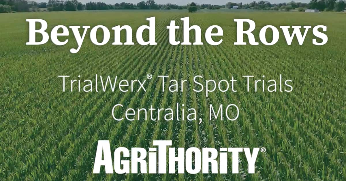 Beyond the Rows - TrialWerx® Tar Spot Trials in Centralia, MO, featuring a lush green field, organized by AgriThority®, focusing on agricultural research and tar spot disease trials in Missouri.