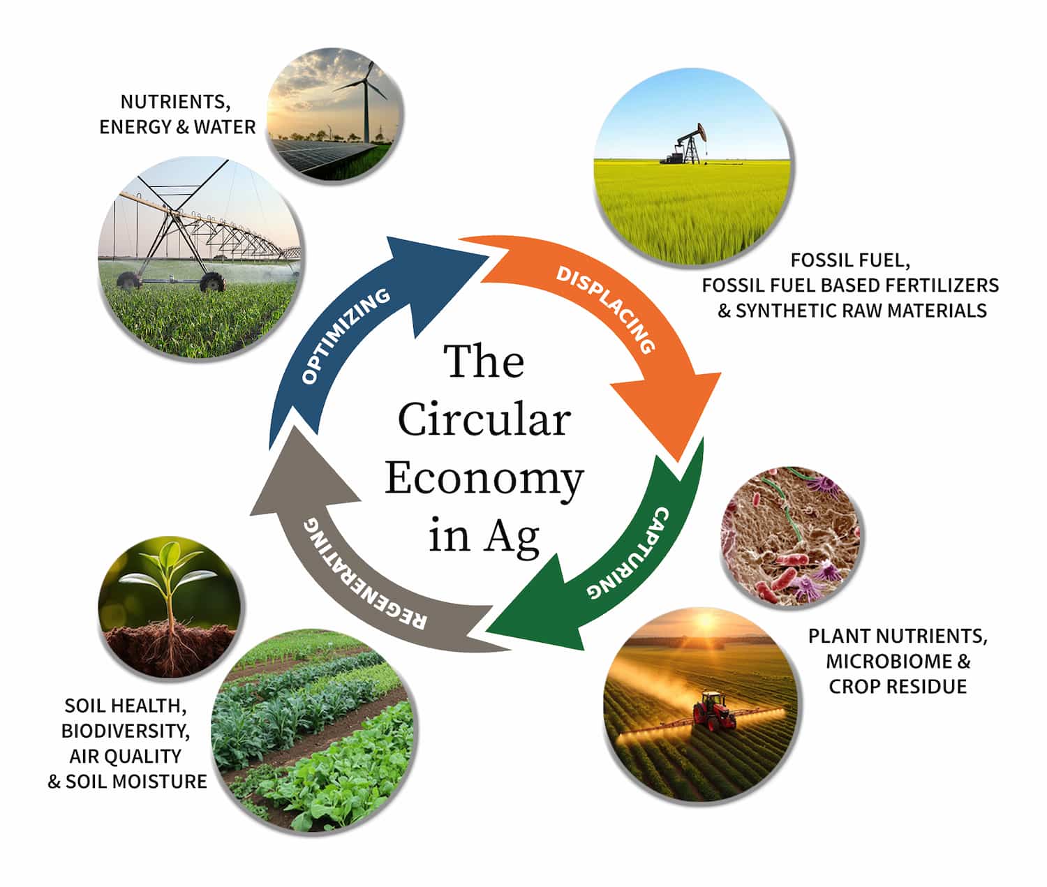 Infographic diagram of the circular economy in agriculture, showing a cycle optimizing nutrients, energy & water via irrigation and renewables; displacing fossil fuel-based fertilizers & synthetic materials with green fields and oil rigs; capturing plant nutrients, microbiome & crop residue through microscopy and spraying; regenerating soil health, biodiversity, air quality & moisture with rooted plants and vegetable crops.