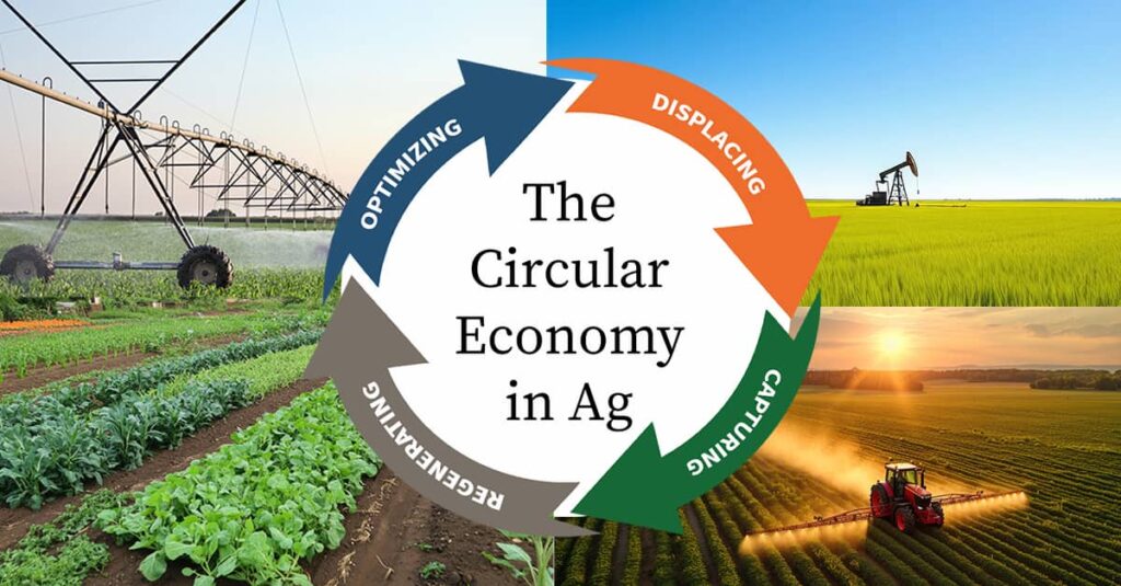 Infographic on the circular economy in agriculture: A vibrant diagram with a central circle labeled "The Circular Economy in Ag," divided into four segments—Optimizing (blue arrow over irrigated fields), Displacing (orange arrow near an oil rig), Capturing (green arrow on golden wheat fields at sunset), and Regenerating (gray arrow amid diverse vegetable crops)—promoting sustainable farming, regenerative practices, and resource efficiency in modern agriculture.
