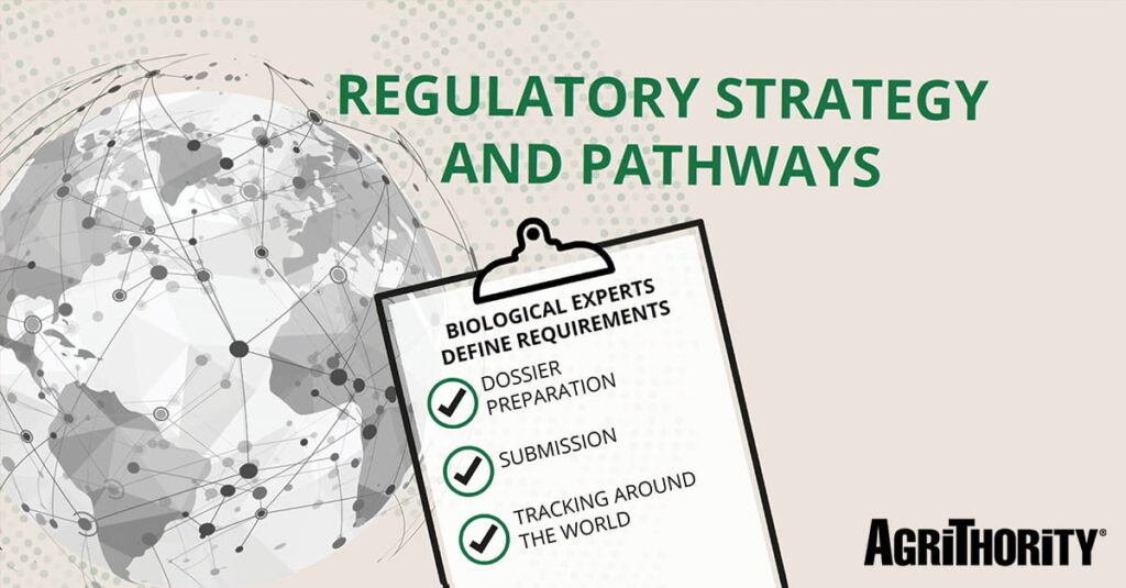 A graphic with a networked globe on the left and a checklist reading Biological Experts Define Requirements: Dossier Preparation, Submission, Tracking Around the World. Title: Regulatory Strategy and Pathways. AgriThority logo in corner.
