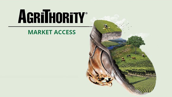 AgriThority Market Access logo with a worn work boot revealing a farm landscape of vineyard rows, grazing cattle, a tree, water, birds, and a small plane over green fields.