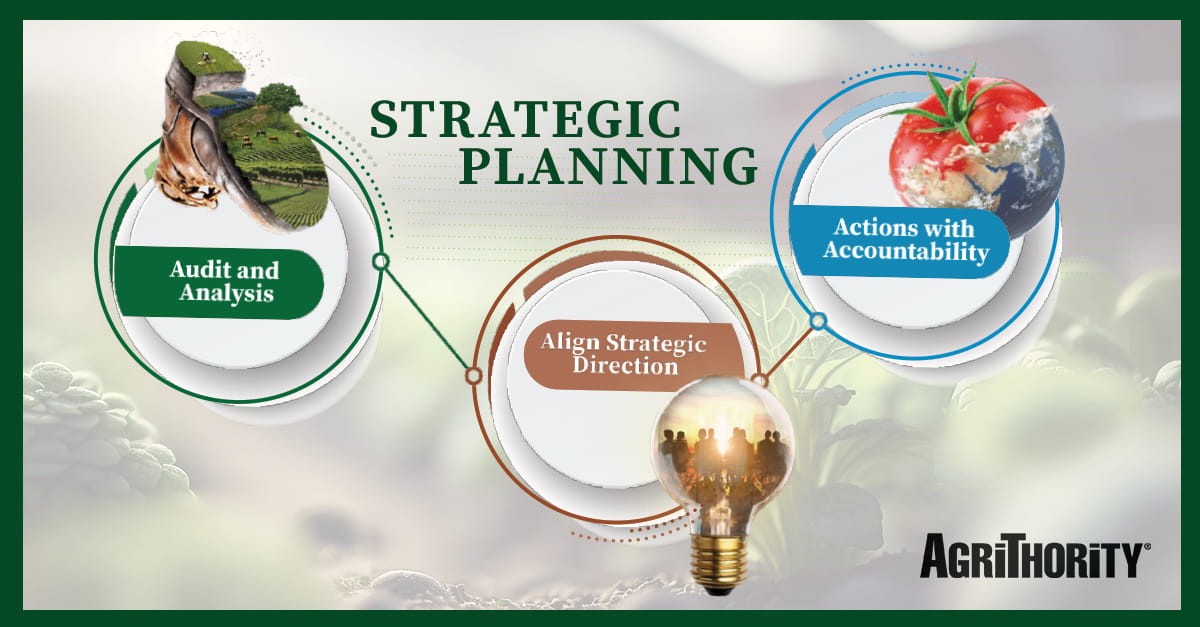 AgriThority strategic planning process diagram showing three connected phases: Audit and Analysis, Align Strategic Direction, and Actions with Accountability.